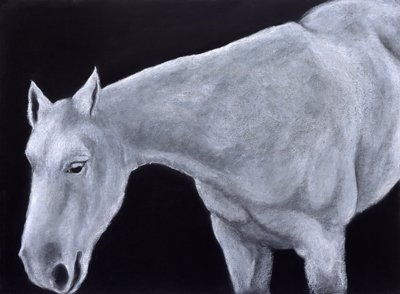 Ghost by Stevie Taylor